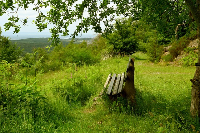 篮球小将如何快速脱颖而出？