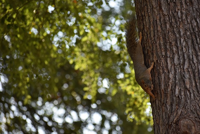 信息压