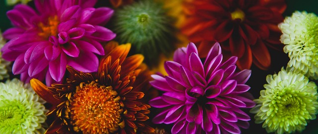 罗体：迪巴拉因发烧缺席罗马的训练，多夫比克恢复跑步练习